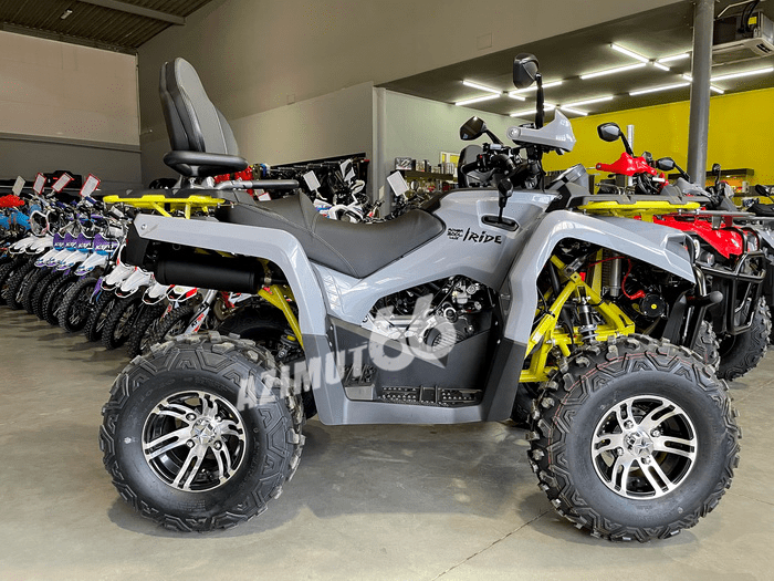 Квадроцикл Iride ROVER 200-L LUX серый