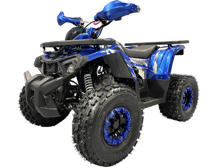 Квадроцикл TAO Motor 125 WILD X (3F+1R) синий